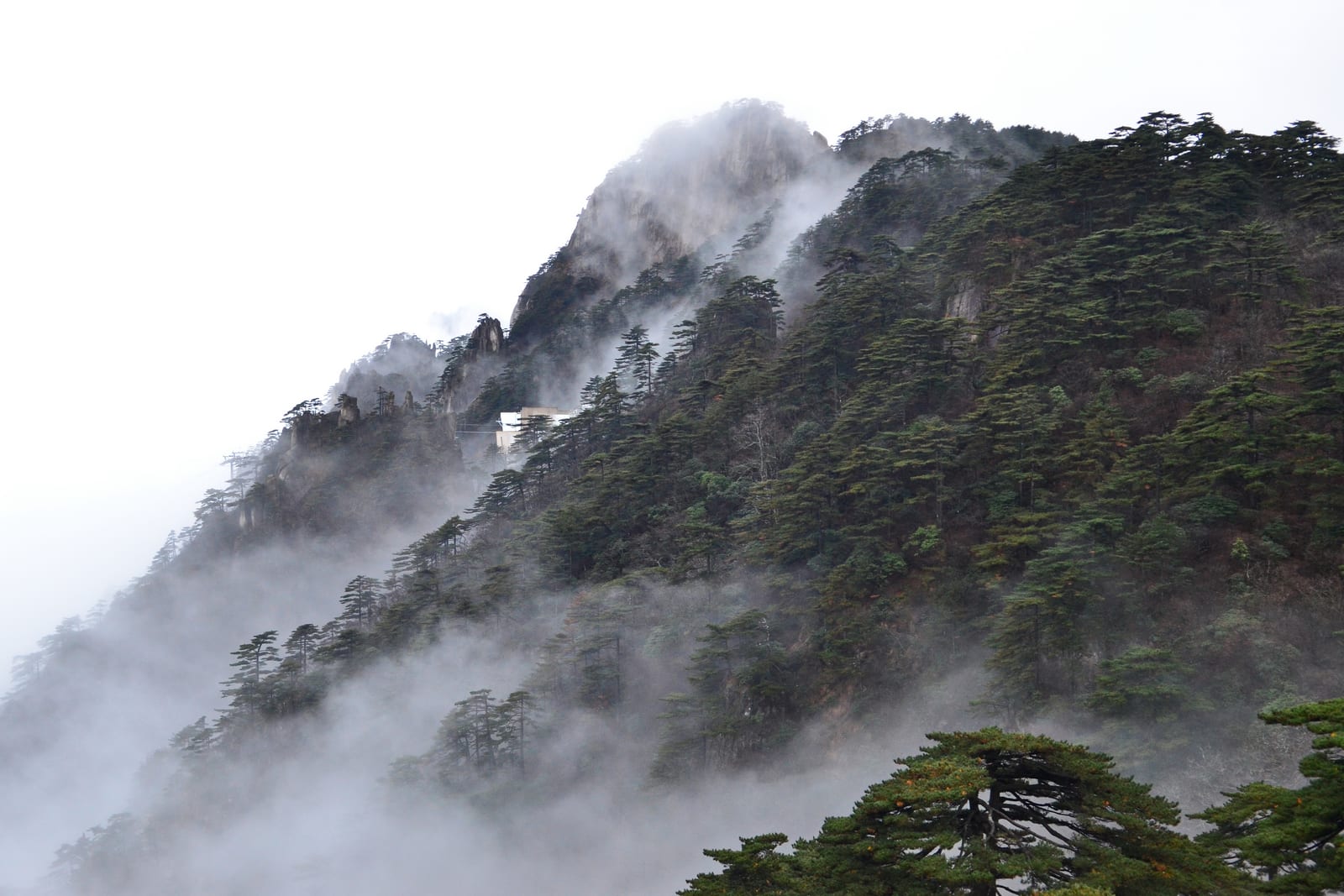 黄山松林山脊、岩峰与流动云雾