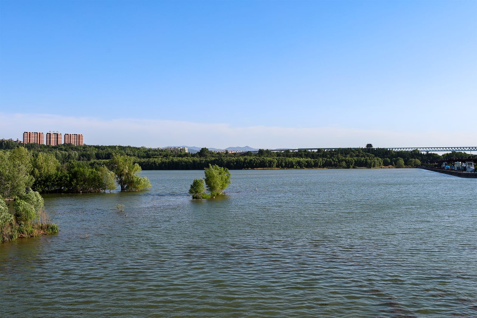 Swan Lake urban wetland and city edge in Sanmenxia