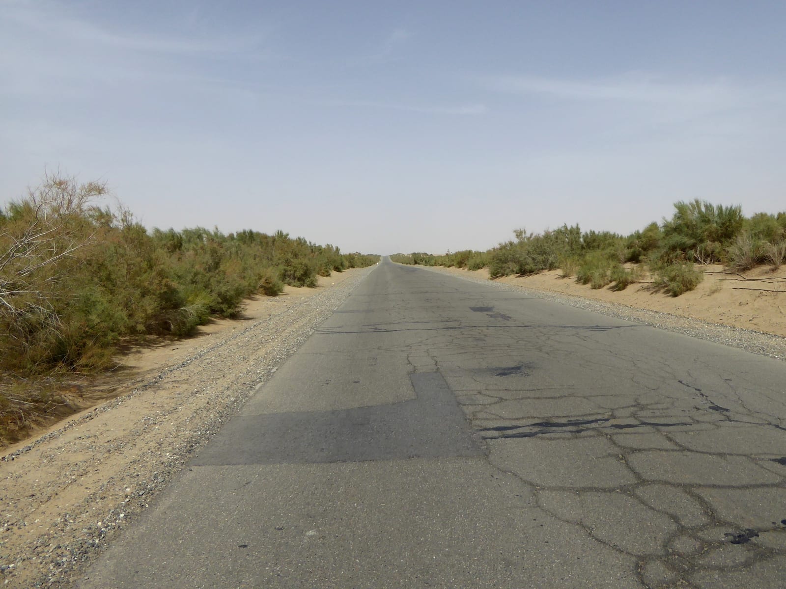 Tarim Desert Highway, desert shrubs and distant road in Hotan Prefecture